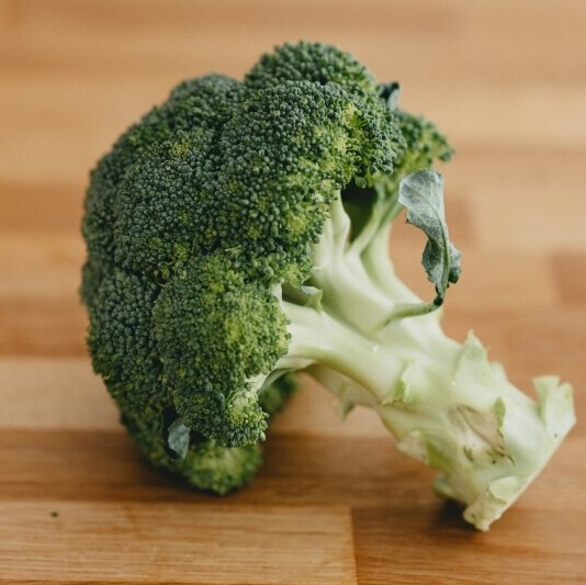 eco friendly food storage solutions to try today 